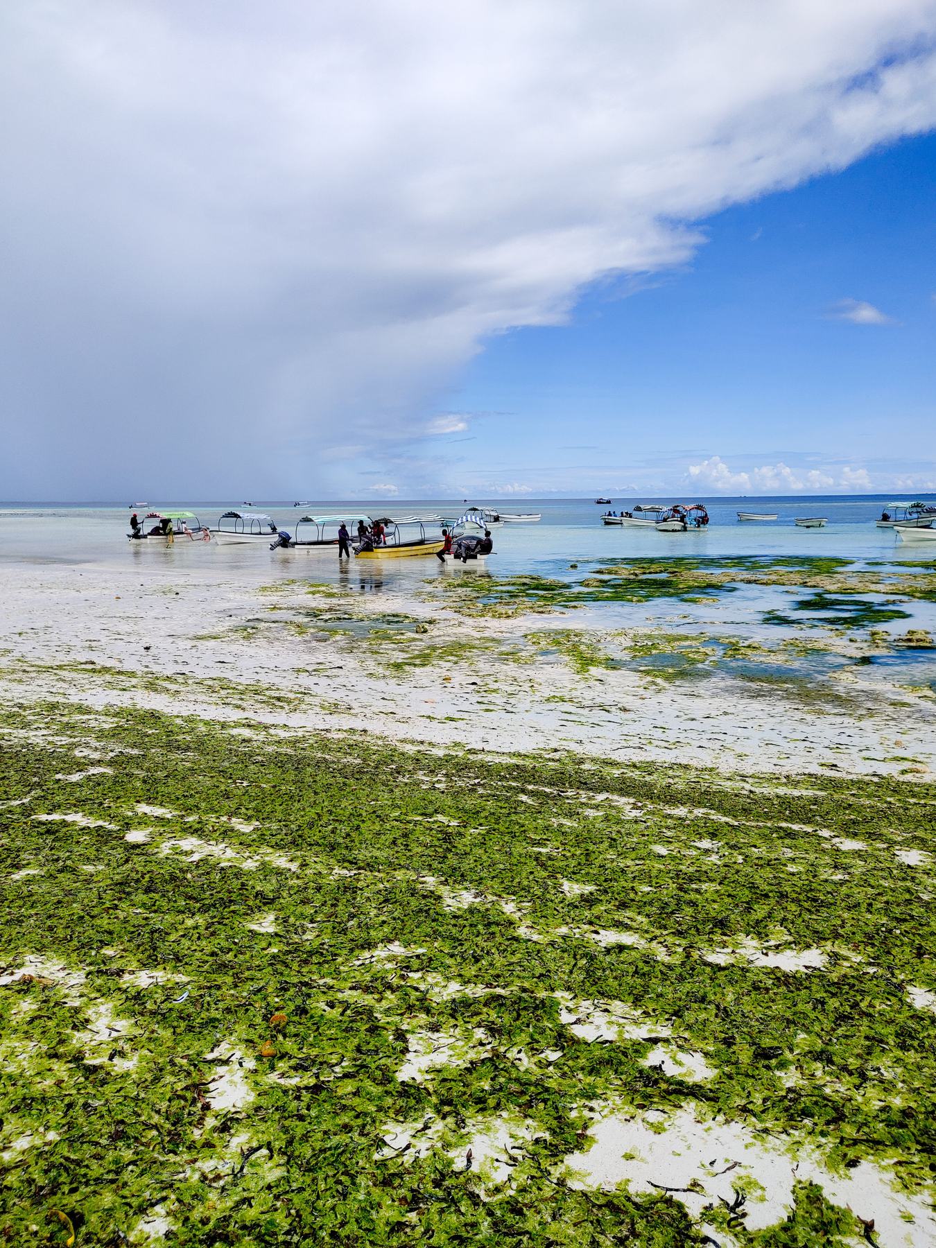 Diani Beach