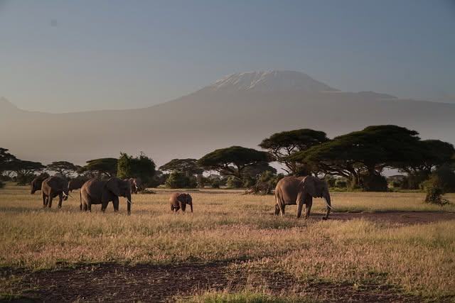 Tarangire National Park