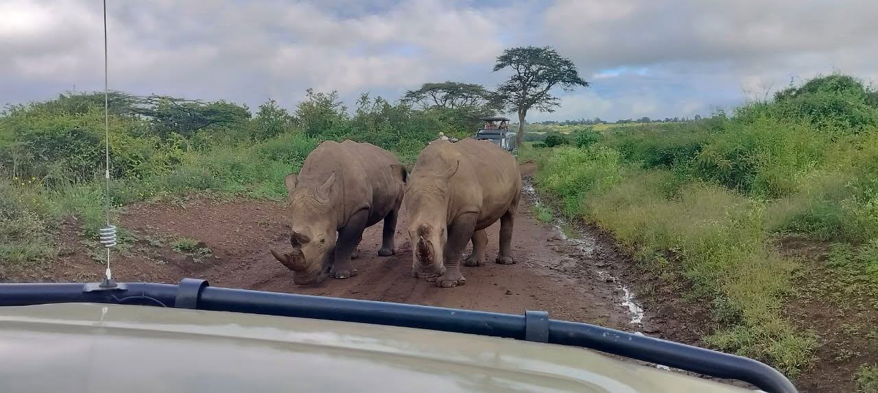 Ol Pejeta Conservancy