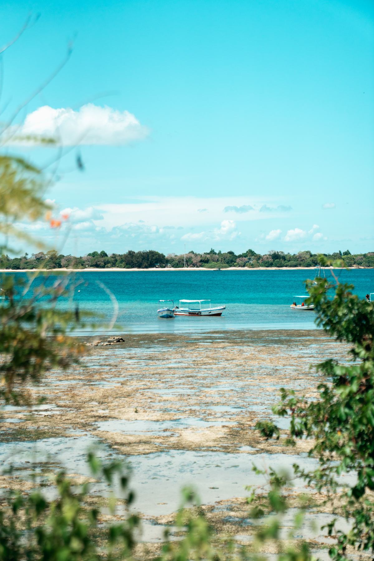 Lamu Island